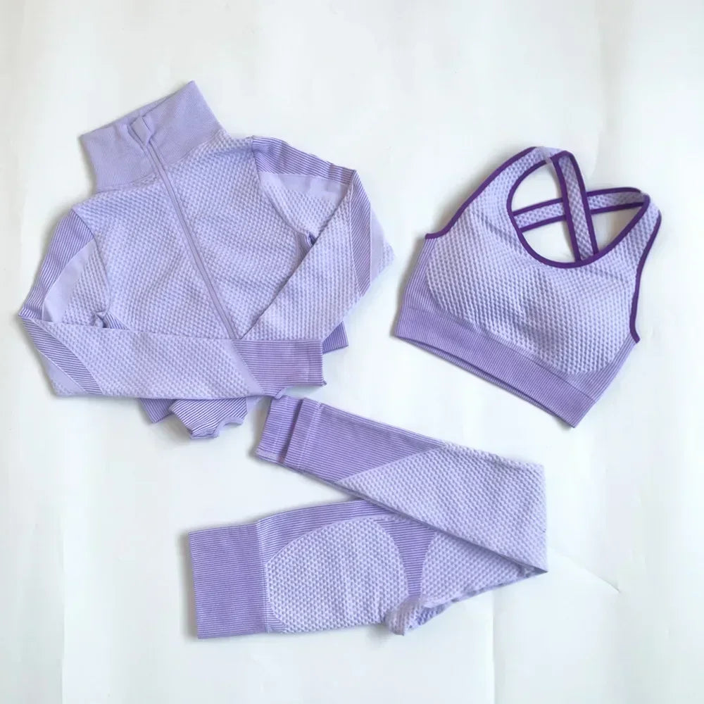 Mesh Sports Crop Top – Breathable Workout Top for Women | VivaFem